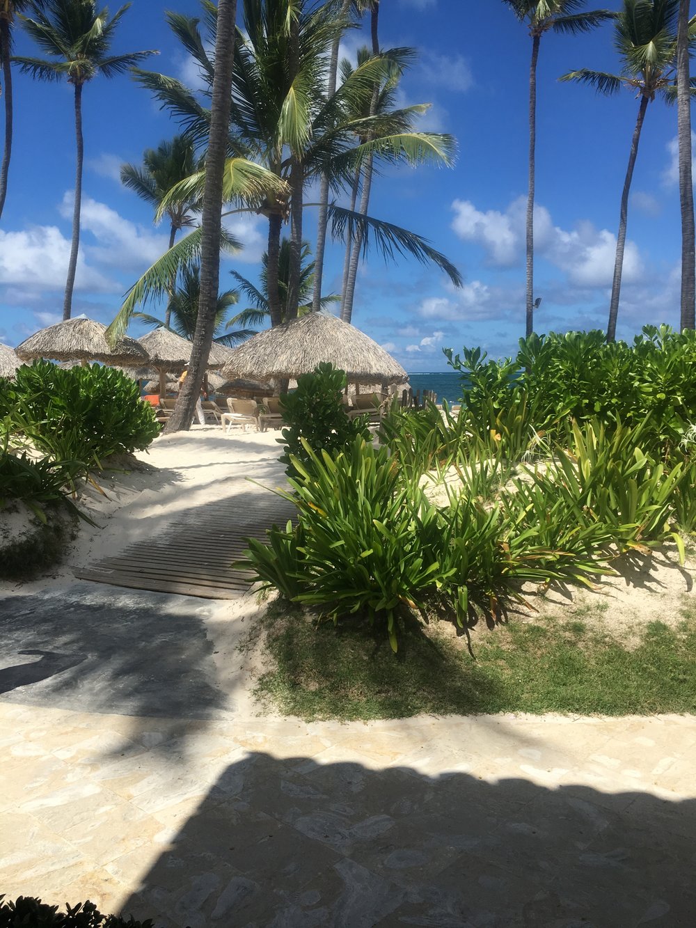 A tropical beach scene with tall palm trees and thatched umbrellas casting shadows on the sand, surrounded by lush greenery under a vibrant blue sky. The fresh, natural environment evokes a sense of relaxation and healthy living.| Daré Vita Café | Las Vegas