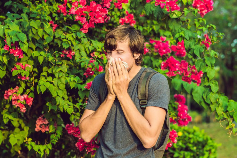 Young man sneezes because of an allergy to pollen A person with brown hair and a backpack sneezes into a tissue in front of vibrant pink flowering bushes, highlighting the importance of allergen-friendly and natural environments for healthy living and food sensitivity awareness.| Daré Vita Café | Las Vegas